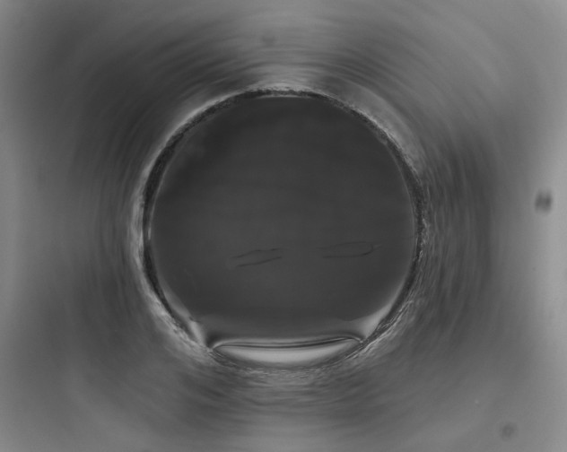 X0000097970984200803241231
