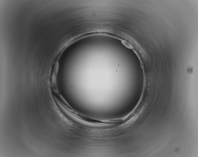 X0000097970985200803241231