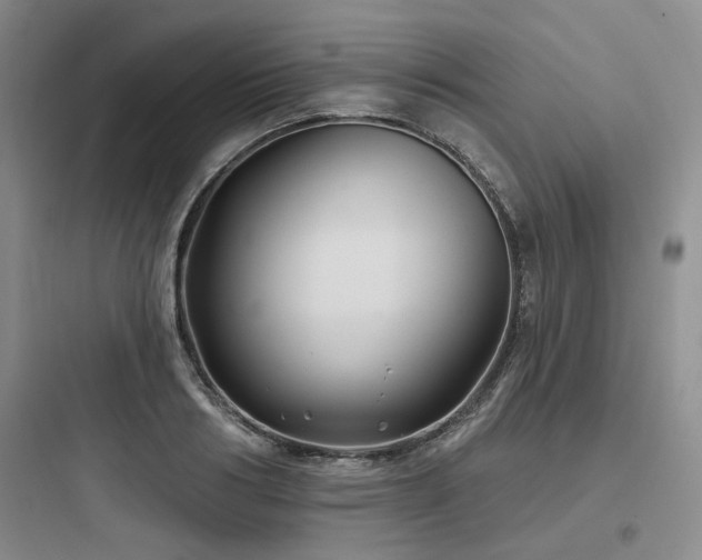 X0000097970986200803241231