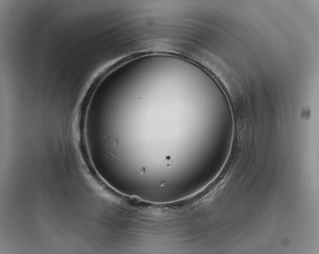 X0000097970987200803241231