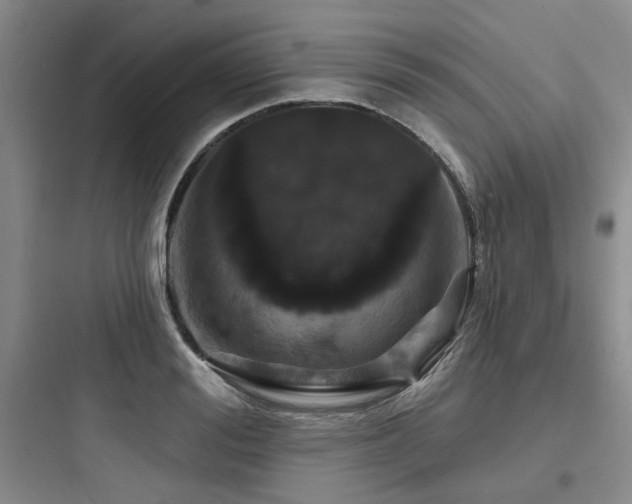 X0000097970988200803241231