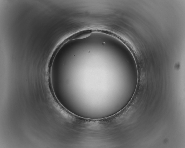 X0000097970990200803241231