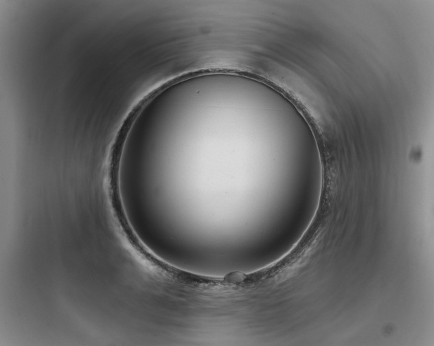 X0000097970991200803241231