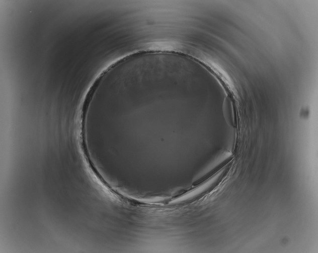 X0000097970992200803241231