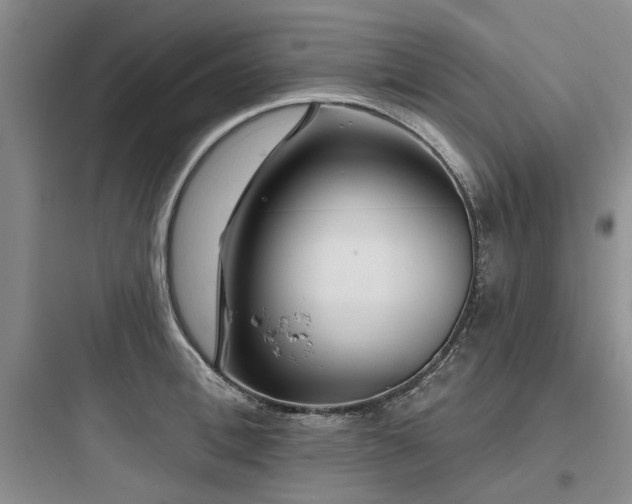 X0000097970996200803241231