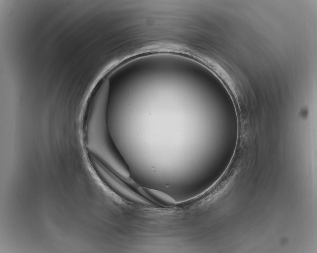 X0000097970997200803241231