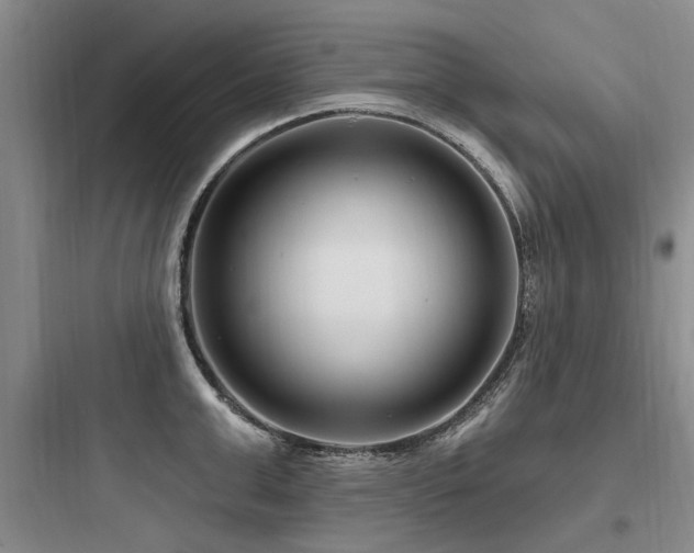 X0000097970999200803241231