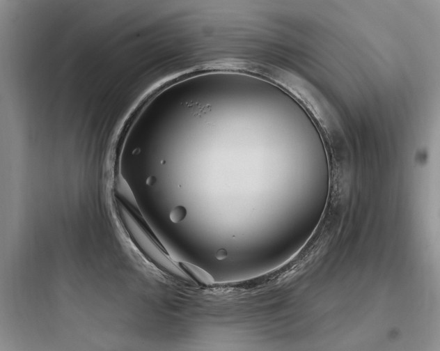 X0000097971000200803241231
