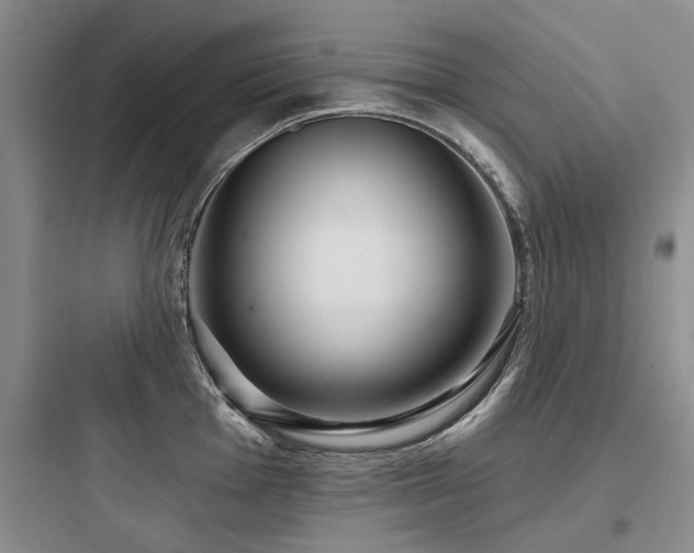 X0000097971001200803241231