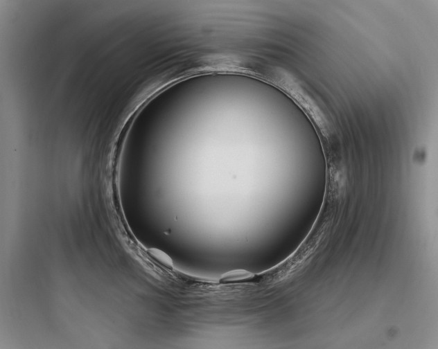 X0000097971002200803241231