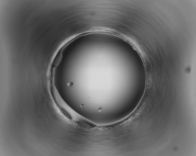X0000097971003200803241231
