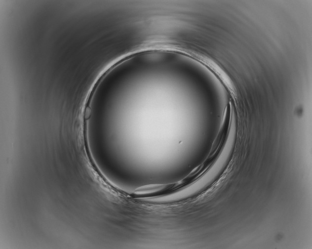 X0000097971004200803241231