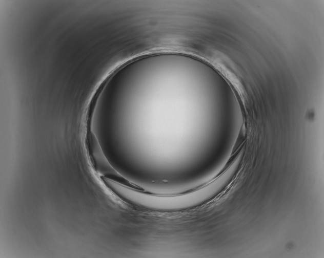 X0000097971005200803241231