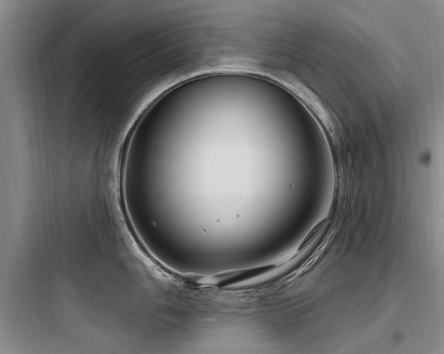 X0000097971006200803241231