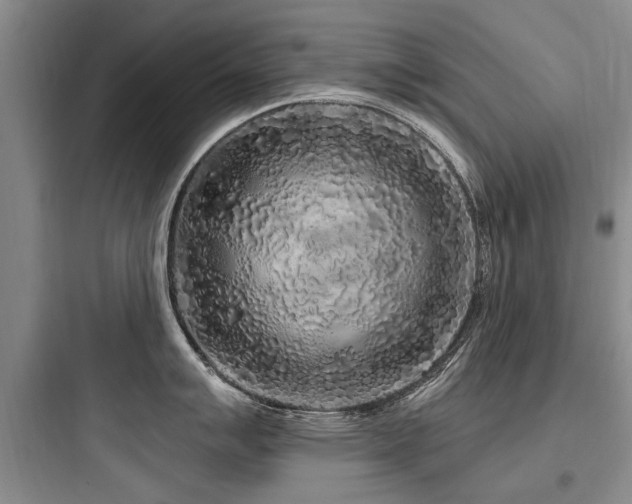 X0000097971007200803241231