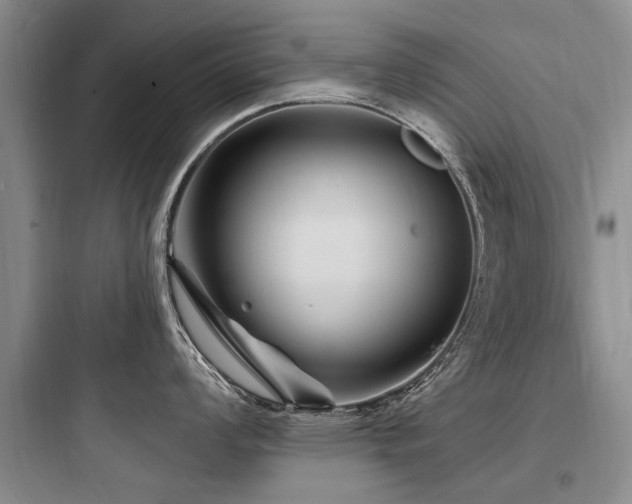 X0000097971008200803241231