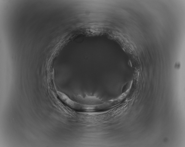 X0000097971009200803241229