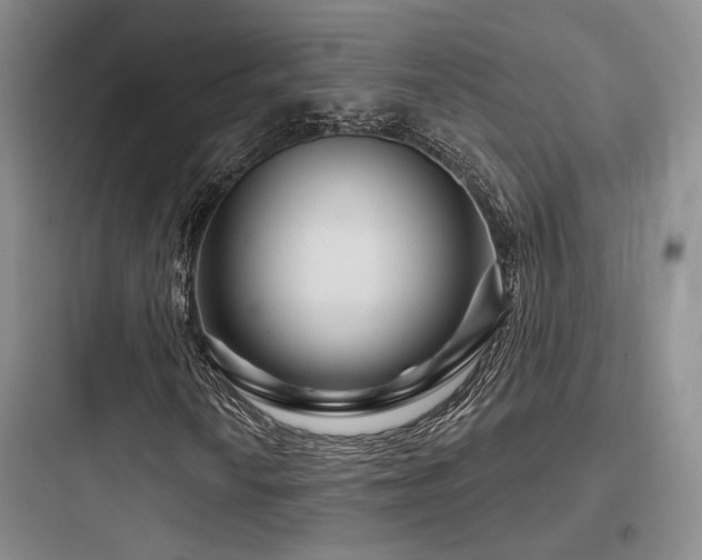 X0000097971010200803241229