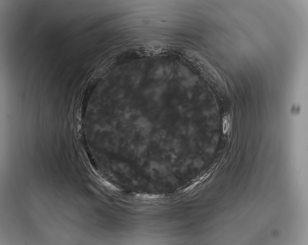 X0000097971011200803241230