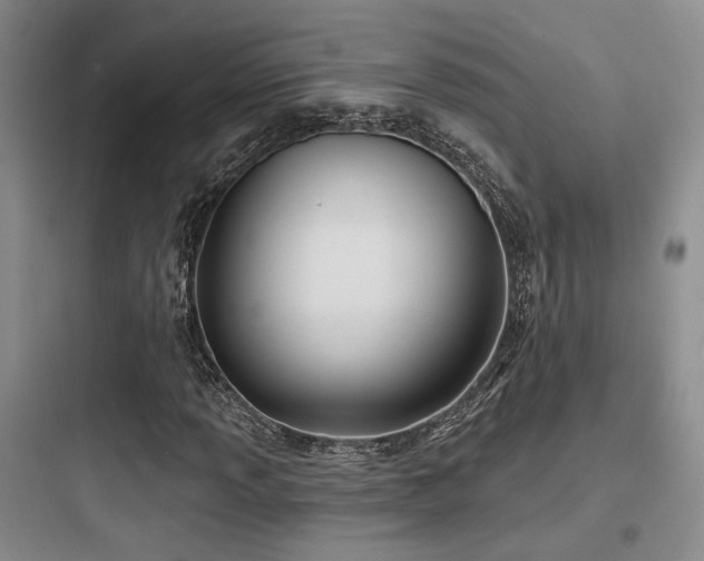 X0000097971013200803241230