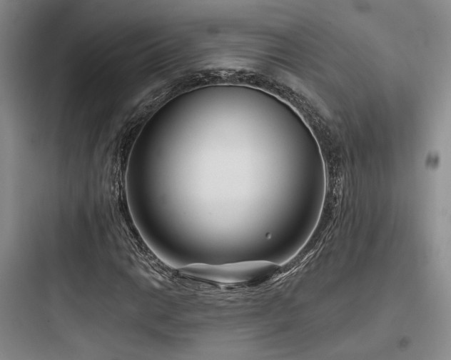 X0000097971014200803241230
