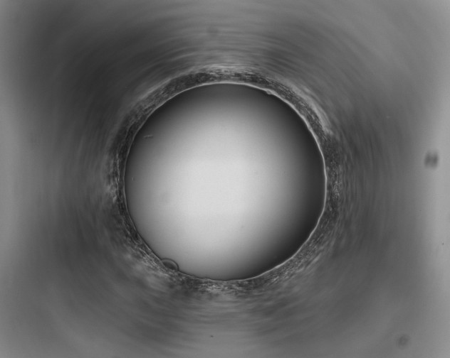 X0000097971015200803241230