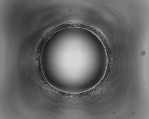 X0000097971016200803241230