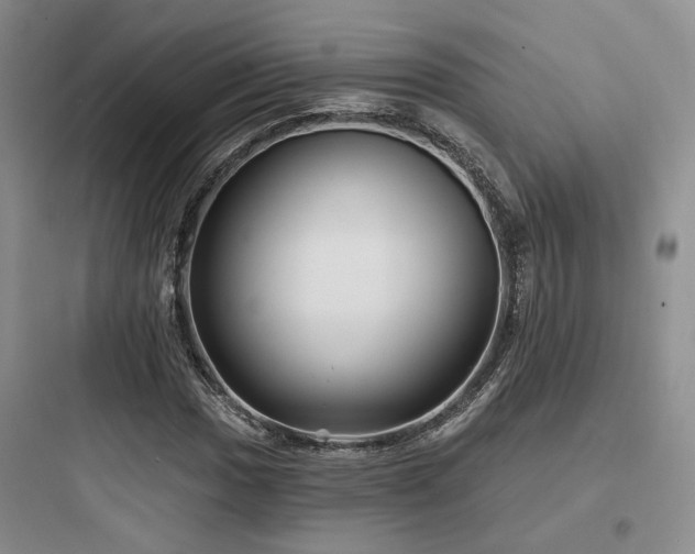 X0000097971017200803241230