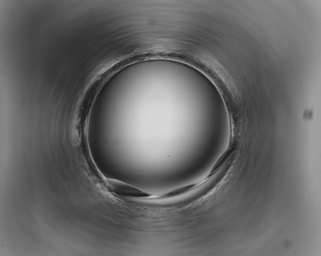 X0000097971018200803241230