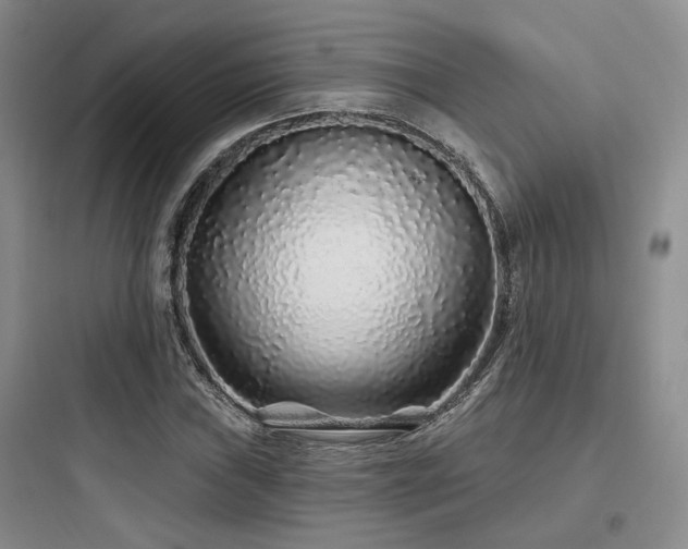 X0000097971019200803241230