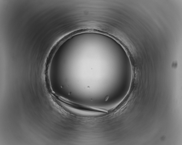 X0000097971020200803241230