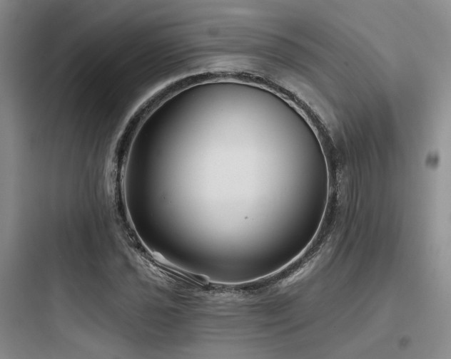 X0000097971021200803241230
