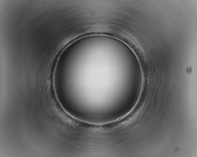 X0000097971025200803241230