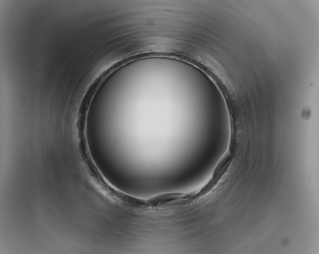 X0000097971026200803241230