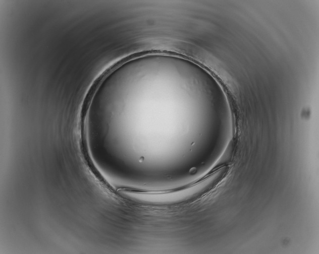 X0000097971028200803241230