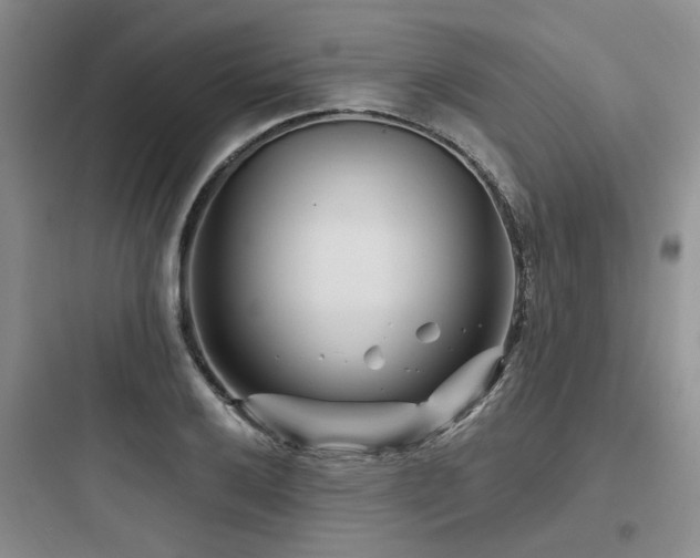 X0000097971032200803241230