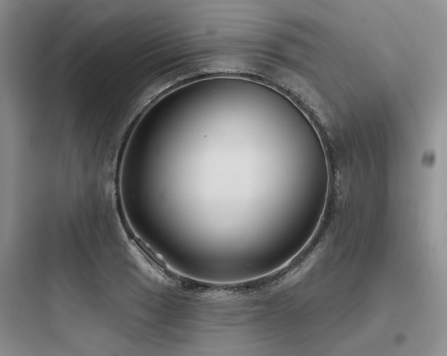 X0000097971033200803241230