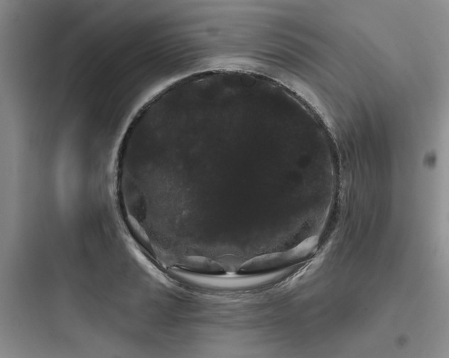 X0000097971037200803241230
