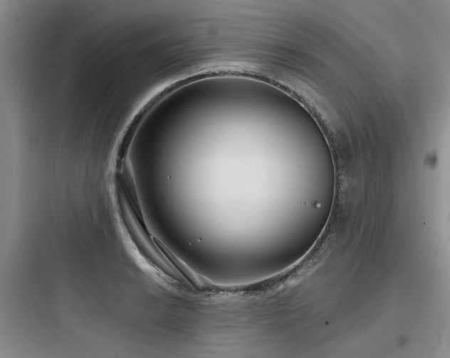 X0000097971038200803241230
