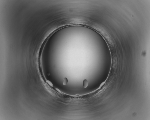 X0000097971039200803241230