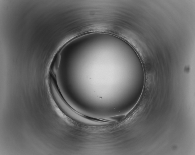 X0000097971042200803241230