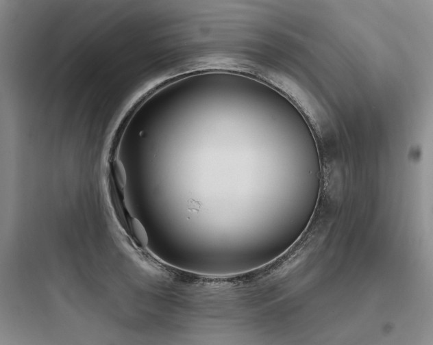 X0000097971043200803241230