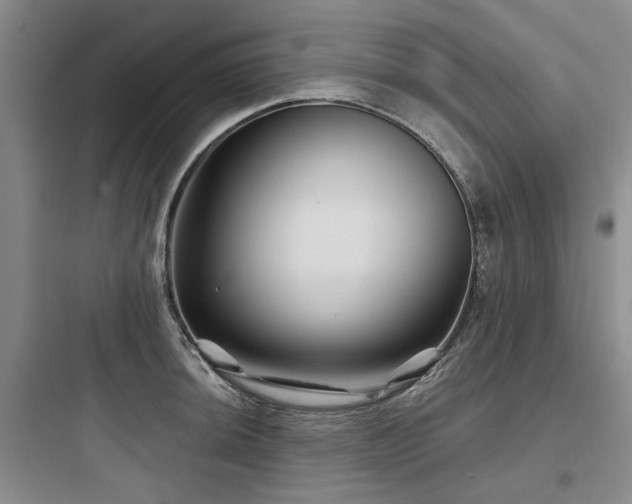 X0000097971044200803241230