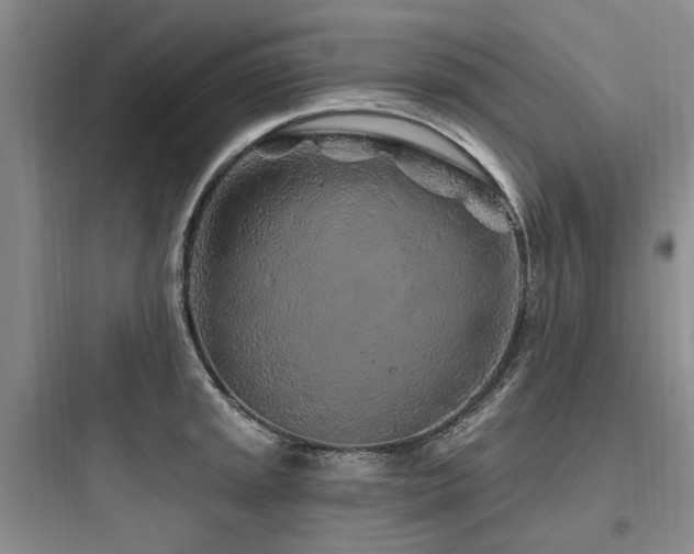X0000097971045200803241230