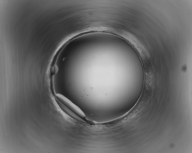 X0000097971046200803241230