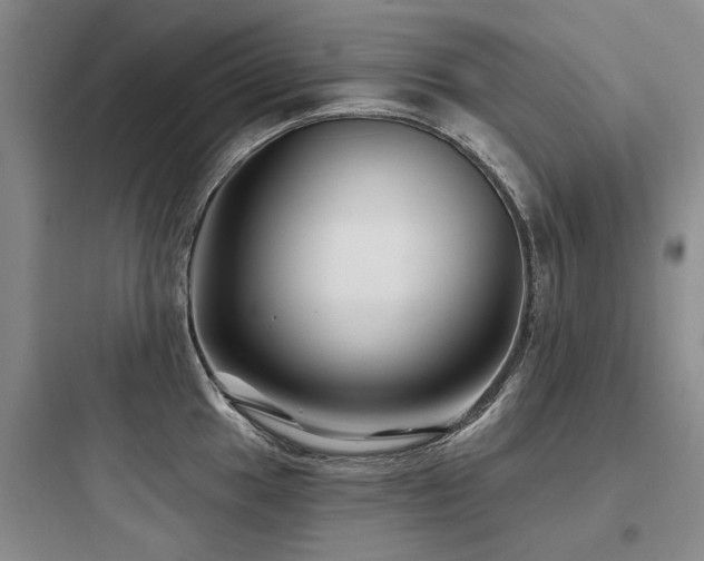 X0000097971049200803241230