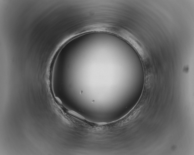 X0000097971051200803241230