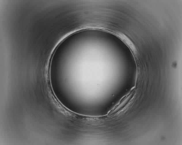 X0000097971052200803241230