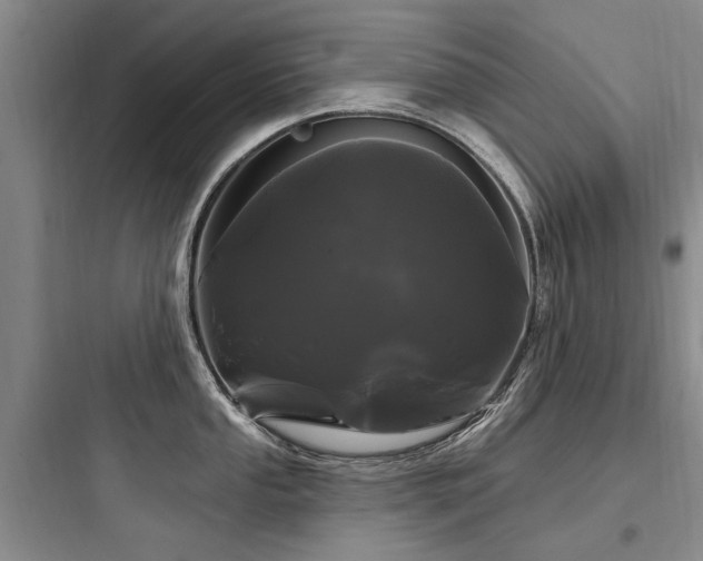 X0000097971053200803241231