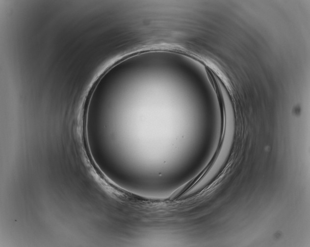 X0000097971054200803241231